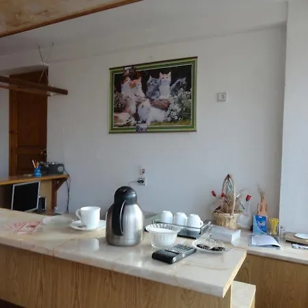 Guest Grachenovi Bansko