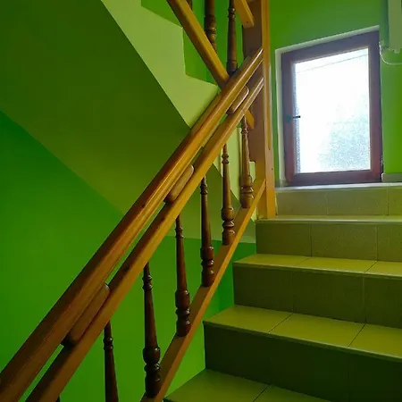 Guest Grachenovi 3* Банско